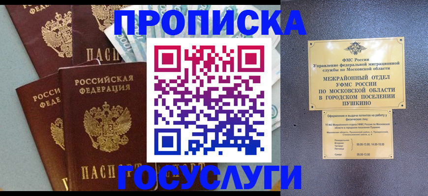 прописка гарантия в Жирновске